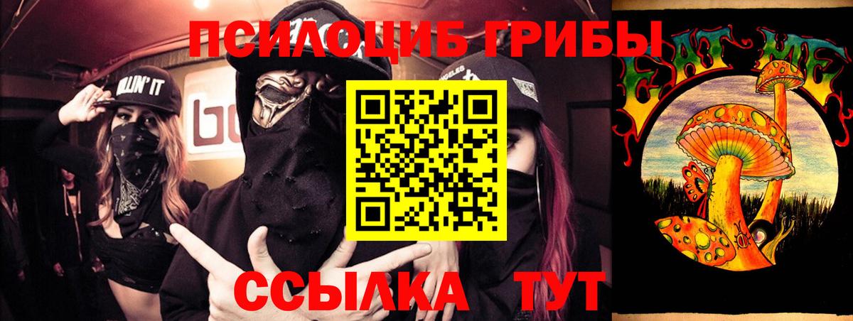 Псилоцибиновые грибы Psilocybe Балаково